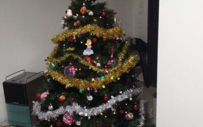 UN PO’ DI ARIA NATALIZIA NELLA SALA DI ACCOGLIENZA DE “LA TUA CASA AL CENTRO”